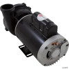  Pump, WW Exec, 3.0hp USMotor, 230v, 2-Spd, 56fr, 2-1/2" x 2" 