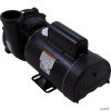  Pump, WW Exec, 3.0hp, 230v, 2-Spd, 56fr, 2-1/2" x 2" 