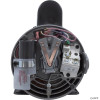  Pump, WW Exec, 3.0hp, 230v, 2-Spd, 56fr, 2-1/2" x 2" 