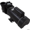  Pump, WW Exec, 4.0hp Century, 230v, 2-Spd, 48fr, 2-1/2" x 2" 
