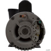  Pump, WW Exec, 4.0hp US Motor, 230v, 1-Spd, 56fr, 2" 