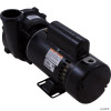  Pump, WW Exec, 4.0hp, 230v, 2-Spd, 48fr, 2-1/2" x 2" 