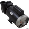  Pump, WW Exec, 4.0hp, 230v, 2-Spd, 56fr, 2" 