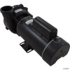  Pump, WW Exec, 4.5hp Century, 230v, 2-Spd, 48fr, 2" 