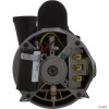  Pump, WW Exec, 4.5hp Century, 230v, 2-Spd, 48fr, 2" 