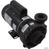  Pump, WW Hi-Flo, 1.0hp Century, 115v, 2-Spd, 48fr, 2" 