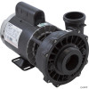  Pump,WW Exec,1.0hp,230v,2-Spd,56fr,2-1/2" x 2" 