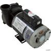  Pump,WW Exec,3.0hp,230v,1-Spd,56fr,2-1/2" x 2",OEM 