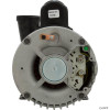  Pump,WW Exec,3.0hp,230v,1-Spd,56fr,2-1/2" x 2",OEM 