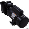  Pump,WW Exec,3.0hp,230v,2-Spd,48fr,2-1/2"x2" 