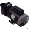  Pump,WW Exec,4.0hp,230v,1-Spd,56fr,2" 