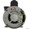  Pump,WW Exec,4.0hp,230v,1-Spd,56fr,2",OEM, 3711621-1D 