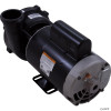  Pump,WW Exec,4.0hp,230v,1-Spd,56fr,2-1/2" x 2" 
