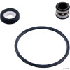  Impeller Kit, Zodiac Jandy SHP/PHPF, 1.5hp 
