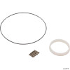  Faceplate, Gecko AquaFlo XP3, 2-1/2" 