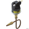  Pressure Switch, Raypak 53A, with Tubing 