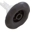 Custom Molded Products 4 3/8" CMP Spa Jet Insert, Typhoon 400, Directional, Scallop, Graphite Gray 