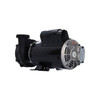  Hi-Flo Jet Pump WATERWAY Pump, Waterway Hi-Flo, 2.0HP, 230V, 10.5/2.6A, 2-Speed, 2"MBT, SD, 48-Frame 