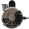 Waterway Pump, WW Executive, 3.0hp, 230V, 2-Spd, 56Fr, 2", 8ft Cord 