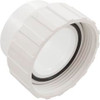 Pump Union, 2" Female Buttress Thread x 2" Slip, 2 PACK