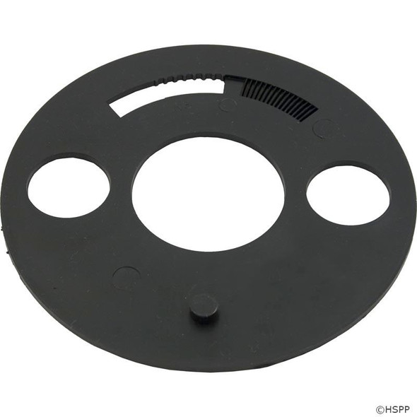  Waterway Filter Diverter Plate 