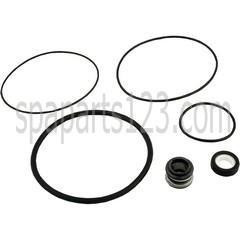  Spa Pump Go-Kit 34, Aqua Flo Pumps FMHP/FMCP/TMCP/TMF 