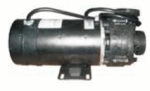 Artesian Spas 21-0401-81, Artesian Spa Pump, 1.5 HP 230V 60Hz, 1.5" 
