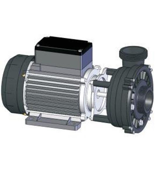 Artesian Spas 21-0045-81, Artesian Spa Pump, 3.0 Hp 1 Spd. 50Hz (European) 