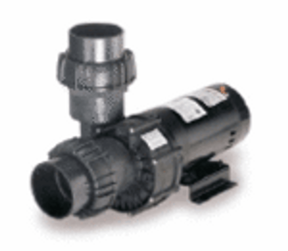 Artesian Spas 21-0054-81, Artesian Spa Pump, Speck Mod 21-80/33G 