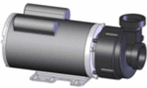 Artesian Spas 21-0049-81, Artesian Spa Pump, 4.8 MBHP 2 Spd. 