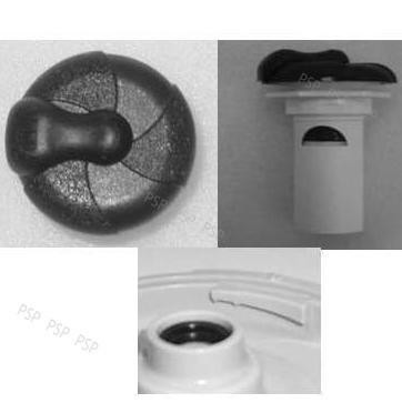  Vita Spas Air Control (Pentair) 2003 