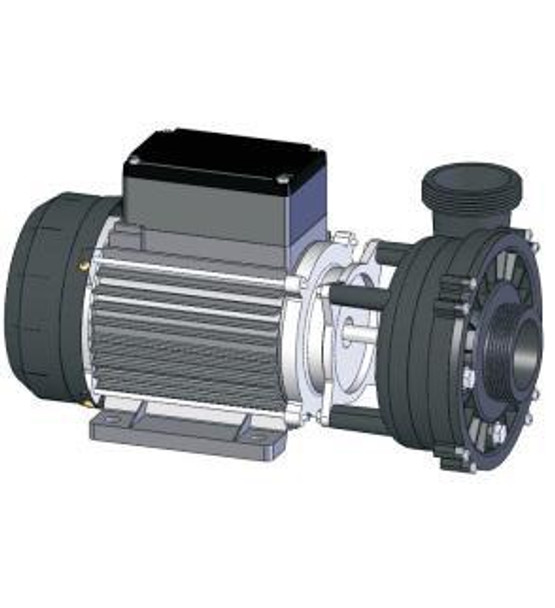 Artesian Spas 21-0045-81, Artesian Spa Pump, 3.0 Hp 1 Spd. 50Hz (European) 