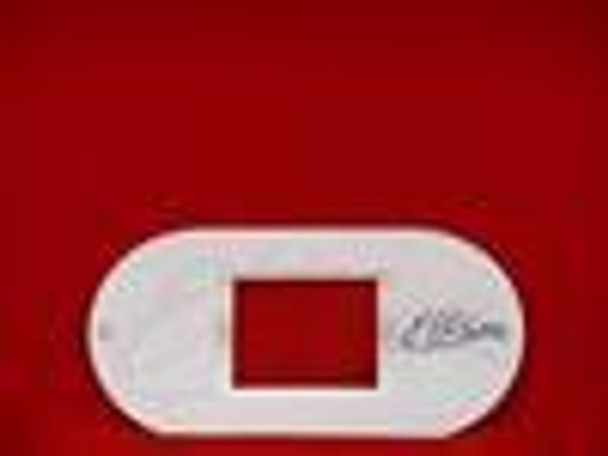 Elite Spas 109039 Elite Spas Topside Overlay, Oval Spa Touch 