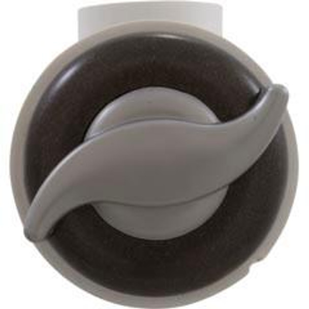  Diverter Valve, WW 1" Top Access, 1-Prt, "S" Style, Dk Slvr/Gry 