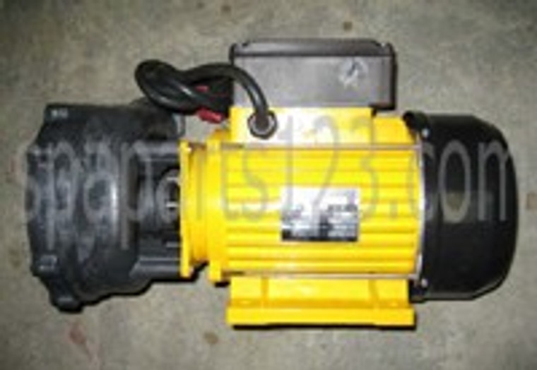 Spa Pump 3hp 230V 2 spd