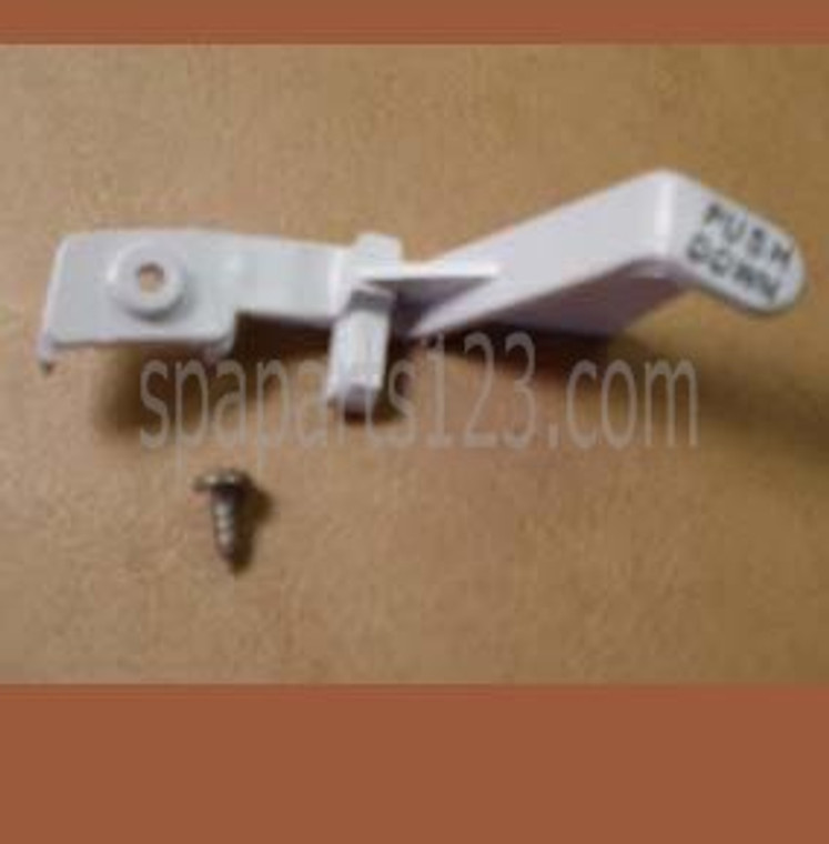 PDC Spas Filter Lock Spring