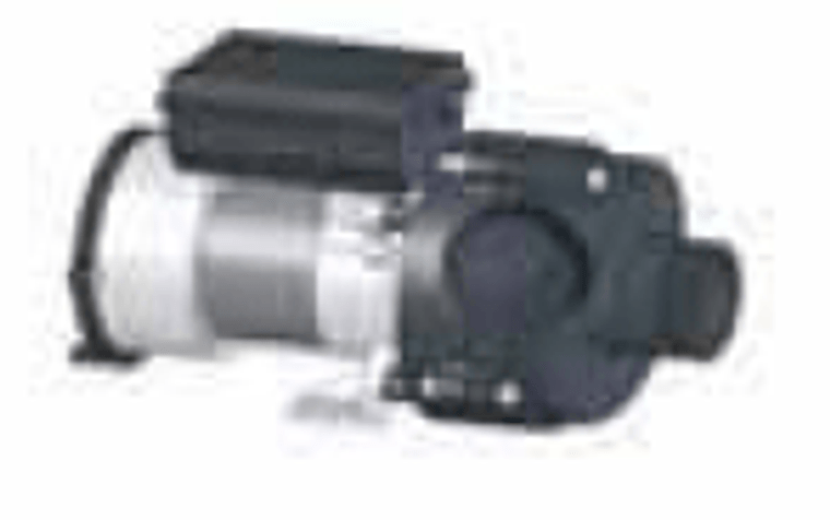 21-0011-81, Artesian Spas Pump, Circulation, Switchless, 50Hz (European)