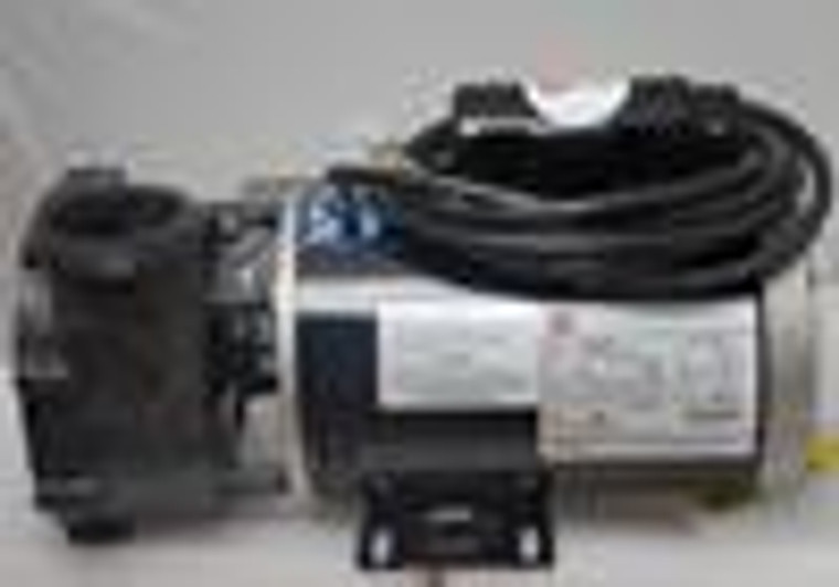 103698B 2HP Coleman Spas Pump, 2 Sp Ultimax AOS, 230V, 60Hz, 56 Frame, Gecko, 506, 509, 47, 50, 55