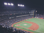 How the 2024 World Series and Season Revitalized Baseball: Records, Legends, and Global Impact