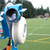 Lacrosse Machine Lacrosse Machine