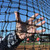 Standard C-Shaped Softball Screen