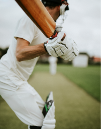 Cricket