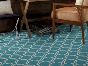 The Science Behind Shaw Carpet Flooring’s Lifeguard Waterproof Carpet