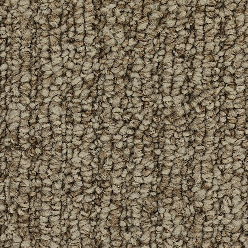 Casual Character Berber Loop Carpet