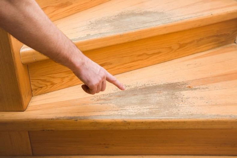 Unexpected Maintenance Tips for Your Shaw Hardwood Flooring