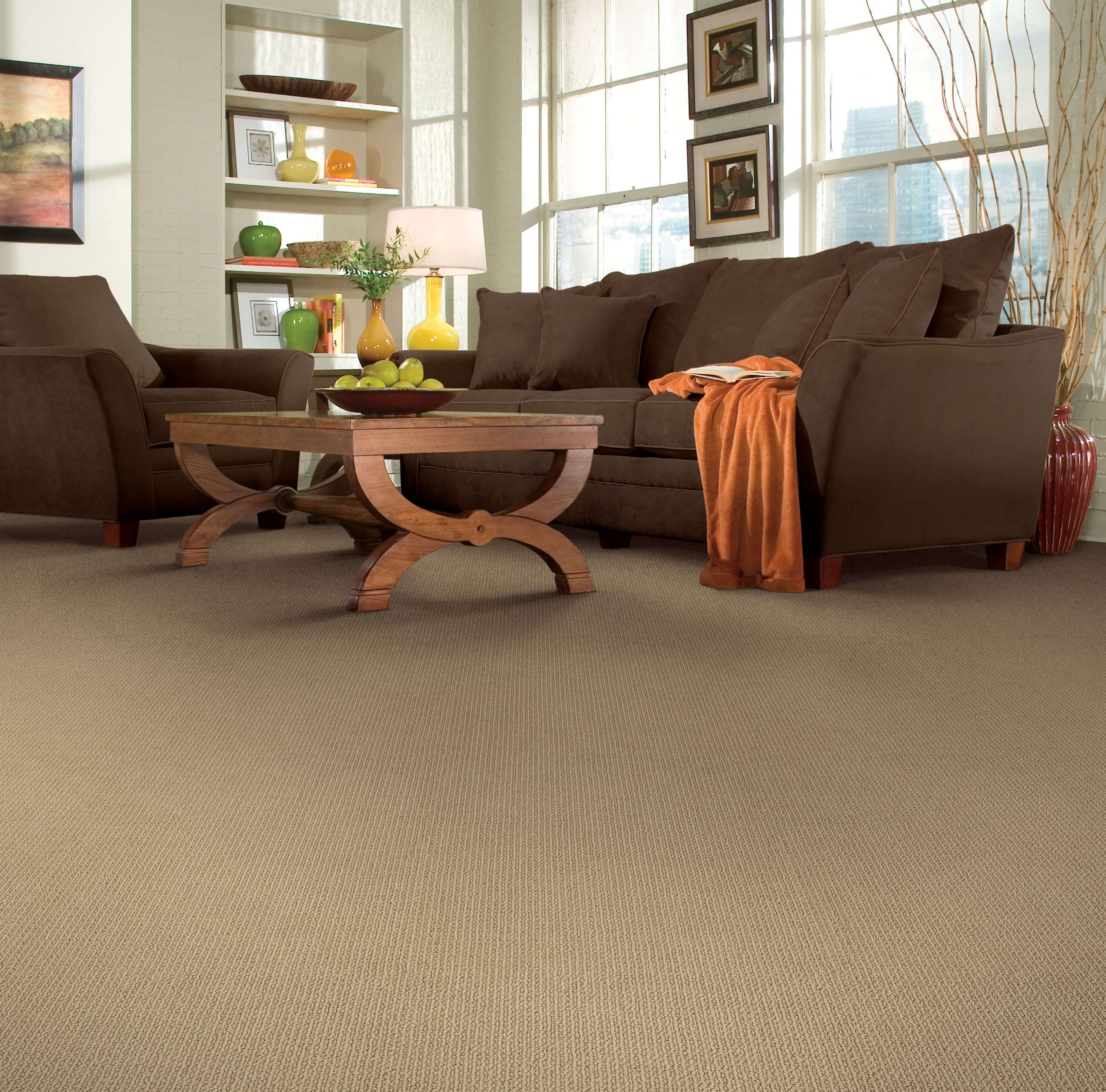 Is Shaw Carpet Flooring Pet Friendly? Flooring Superstores Edmonton