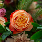 AUTUMN ELEGANCE