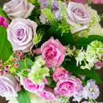 Example photo of valentine's designer's choice flowers. Lavender blue moon spray roses, hydrangea, mini hydrangea, penny cress, ocean song roses, larkspur, and stock create a perfect color combination for a valentine's designer's choice arrangement. 