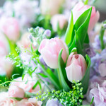 Example photo of valentine's designer's choice flowers. Light pink tulips, lavender stock, light pink spray roses and delicate penny cress will make the perfect color combination for a valentine's designer's choice arrangement. 