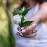 BOUTONNIERE